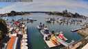 ./images/victoria/wharf/20260713/wharf20260713_143001M.jpg