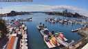./images/victoria/wharf/20260717/wharf20260717_155001M.jpg