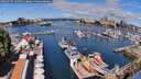 ./images/victoria/wharf/20260718/wharf20260718_105501M.jpg