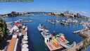 ./images/victoria/wharf/20260719/wharf20260719_111501M.jpg