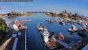 ./images/victoria/wharf/20260720/wharf20260720_081001M.jpg