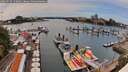 ./images/victoria/wharf/20260720/wharf20260720_150002M.jpg
