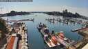 ./images/victoria/wharf/20260721/wharf20260721_170501M.jpg