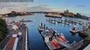 ./images/victoria/wharf/20260723/wharf20260723_061501M.jpg