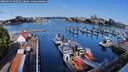 ./images/victoria/wharf/20260724/wharf20260724_090501M.jpg