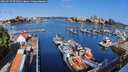 ./images/victoria/wharf/20260724/wharf20260724_091001M.jpg
