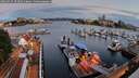 ./images/victoria/wharf/20260725/wharf20260725_052501M.jpg