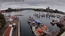 ./images/victoria/wharf/20260725/wharf20260725_085501M.jpg