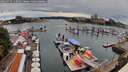 ./images/victoria/wharf/20260725/wharf20260725_110502M.jpg