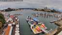 ./images/victoria/wharf/20260725/wharf20260725_130501M.jpg