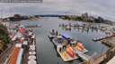 ./images/victoria/wharf/20260725/wharf20260725_143501M.jpg