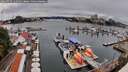 ./images/victoria/wharf/20260725/wharf20260725_145502M.jpg