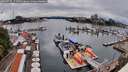 ./images/victoria/wharf/20260725/wharf20260725_151501M.jpg