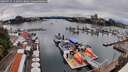 ./images/victoria/wharf/20260725/wharf20260725_152001M.jpg