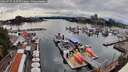 ./images/victoria/wharf/20260725/wharf20260725_163501M.jpg