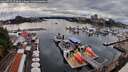 ./images/victoria/wharf/20260725/wharf20260725_173001M.jpg