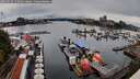 ./images/victoria/wharf/20260726/wharf20260726_142001M.jpg