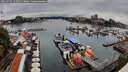 ./images/victoria/wharf/20260726/wharf20260726_143501M.jpg