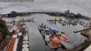 ./images/victoria/wharf/20260726/wharf20260726_161001M.jpg
