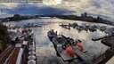 ./images/victoria/wharf/20260726/wharf20260726_192501M.jpg