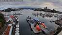./images/victoria/wharf/20260726/wharf20260726_201501M.jpg