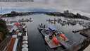 ./images/victoria/wharf/20260726/wharf20260726_202001M.jpg