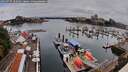 ./images/victoria/wharf/20260727/wharf20260727_102001M.jpg
