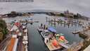 ./images/victoria/wharf/20260727/wharf20260727_120501M.jpg