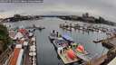 ./images/victoria/wharf/20260727/wharf20260727_130501M.jpg