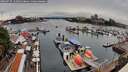 ./images/victoria/wharf/20260727/wharf20260727_131001M.jpg