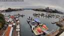 ./images/victoria/wharf/20260727/wharf20260727_132501M.jpg
