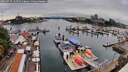 ./images/victoria/wharf/20260727/wharf20260727_134502M.jpg