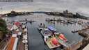 ./images/victoria/wharf/20260727/wharf20260727_140501M.jpg