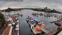./images/victoria/wharf/20260727/wharf20260727_141002M.jpg