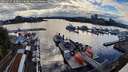./images/victoria/wharf/20260727/wharf20260727_183001M.jpg