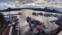 ./images/victoria/wharf/20260727/wharf20260727_185001M.jpg