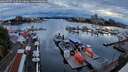 ./images/victoria/wharf/20260727/wharf20260727_210501M.jpg