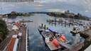 ./images/victoria/wharf/20260728/wharf20260728_062002M.jpg