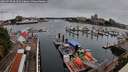 ./images/victoria/wharf/20260728/wharf20260728_094502M.jpg