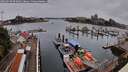 ./images/victoria/wharf/20260728/wharf20260728_095002M.jpg