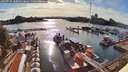 ./images/victoria/wharf/20260728/wharf20260728_182001M.jpg