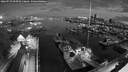 ./images/victoria/wharf/20260729/wharf20260729_050501M.jpg