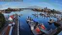 ./images/victoria/wharf/20260729/wharf20260729_075501M.jpg
