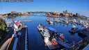 ./images/victoria/wharf/20260731/wharf20260731_081001M.jpg