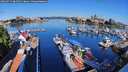 ./images/victoria/wharf/20260731/wharf20260731_084501M.jpg