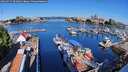 ./images/victoria/wharf/20260731/wharf20260731_091001M.jpg