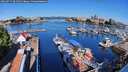 ./images/victoria/wharf/20260731/wharf20260731_091501M.jpg