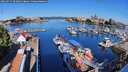 ./images/victoria/wharf/20260731/wharf20260731_092002M.jpg