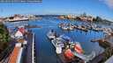 ./images/victoria/wharf/20260801/wharf20260801_095501M.jpg