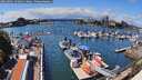 ./images/victoria/wharf/20260801/wharf20260801_141001M.jpg